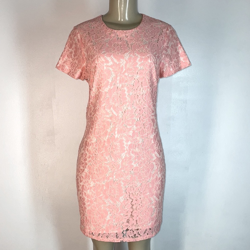 Julie Brown NYC Everest Dress Blush Lace Pink 2